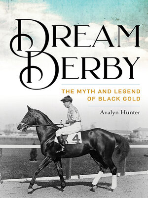 cover image of Dream Derby